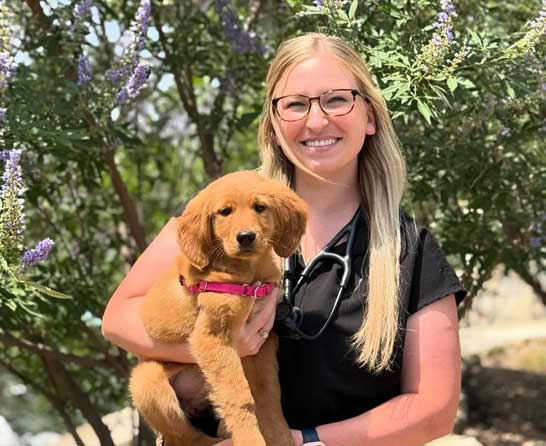 Comprehensive health and wellness benefits