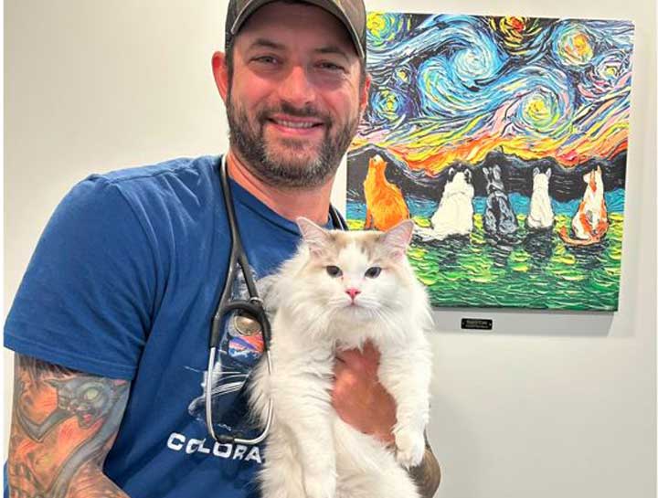 Preventive Care for Cats